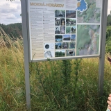 Foto 13 - Morká Horákov, informační tabule